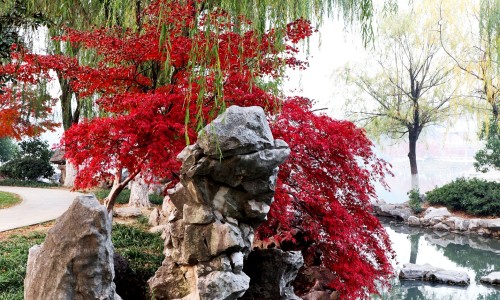 热灸贴的正确使用方法视频-灸热治疗贴功效与作用有哪些专区_艾灸热贴的功效与作用专区_灸热帖 价格网