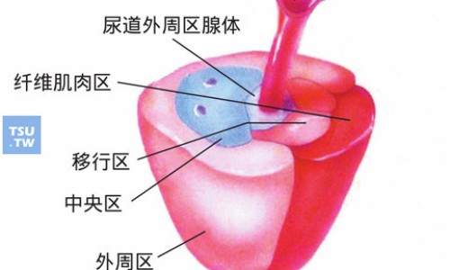 灸热治疗贴功效与作用有哪些专区_艾灸热贴的功效与作用专区_灸热帖 价格网